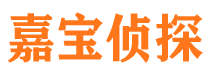 浮山市私家侦探